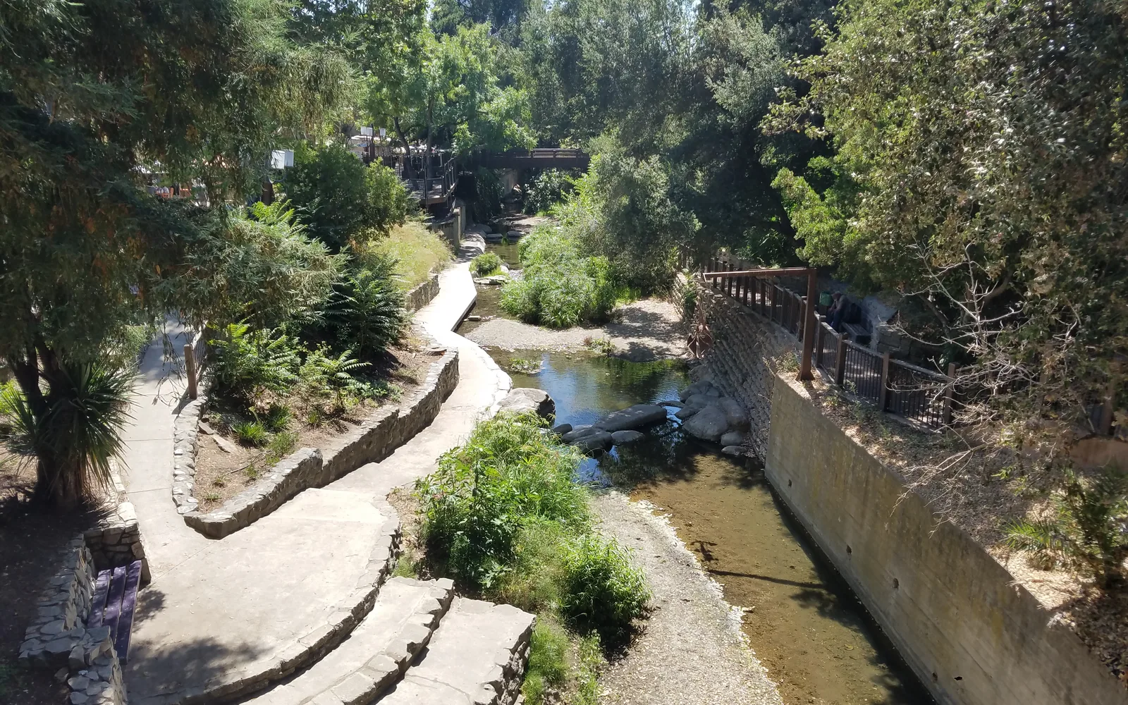 San Luis Obispo Creek flowing through downtown with trees and buildings along both banks